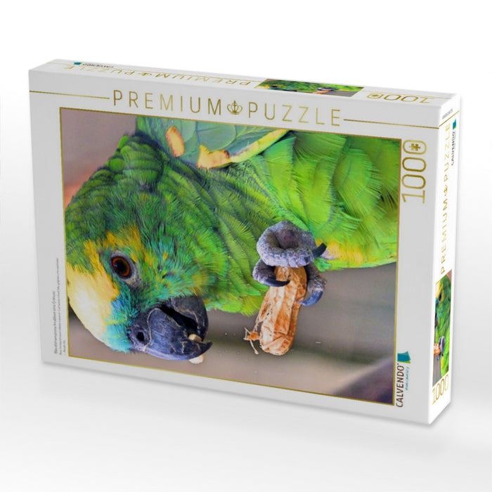Blaustirnamazone knabbert eine Erdnuss - CALVENDO Foto-Puzzle'