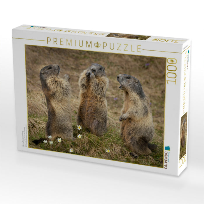 Murmeltierversammlung - CALVENDO Foto-Puzzle'