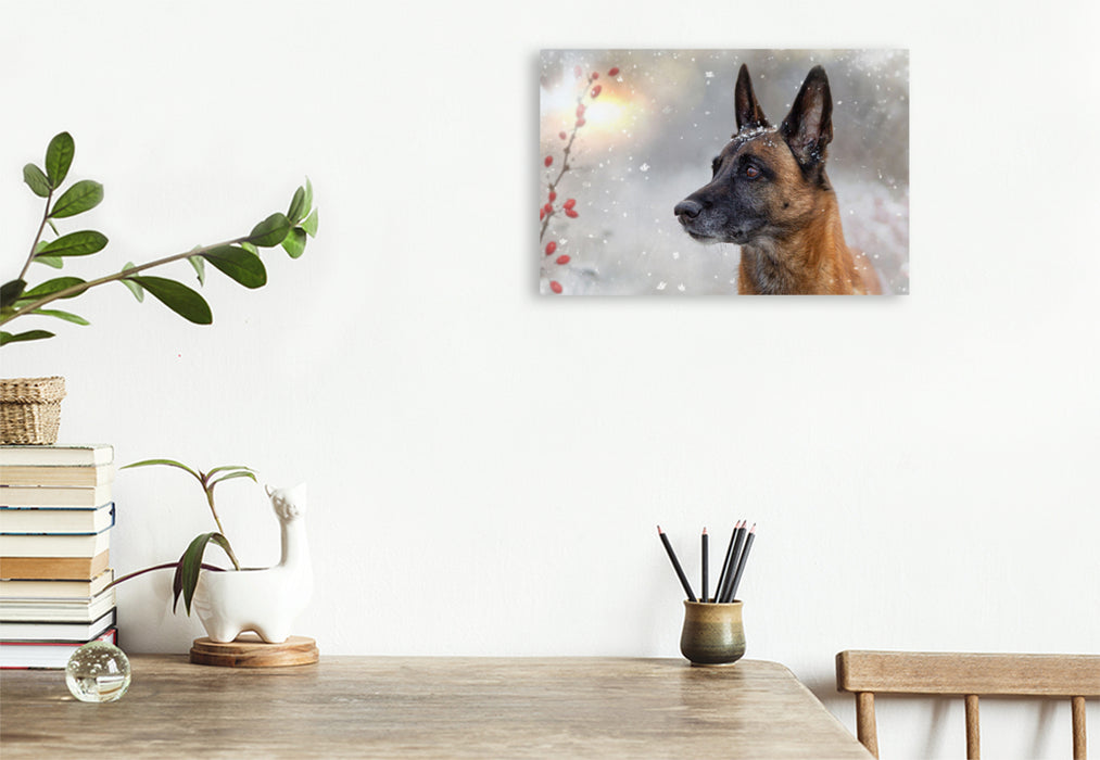 Premium textile canvas A motif from the calendar Malinois - partners on four paws 