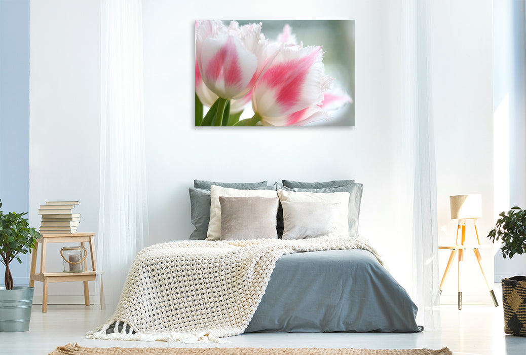 Premium textile canvas fringed tulips or Crispa tulips 