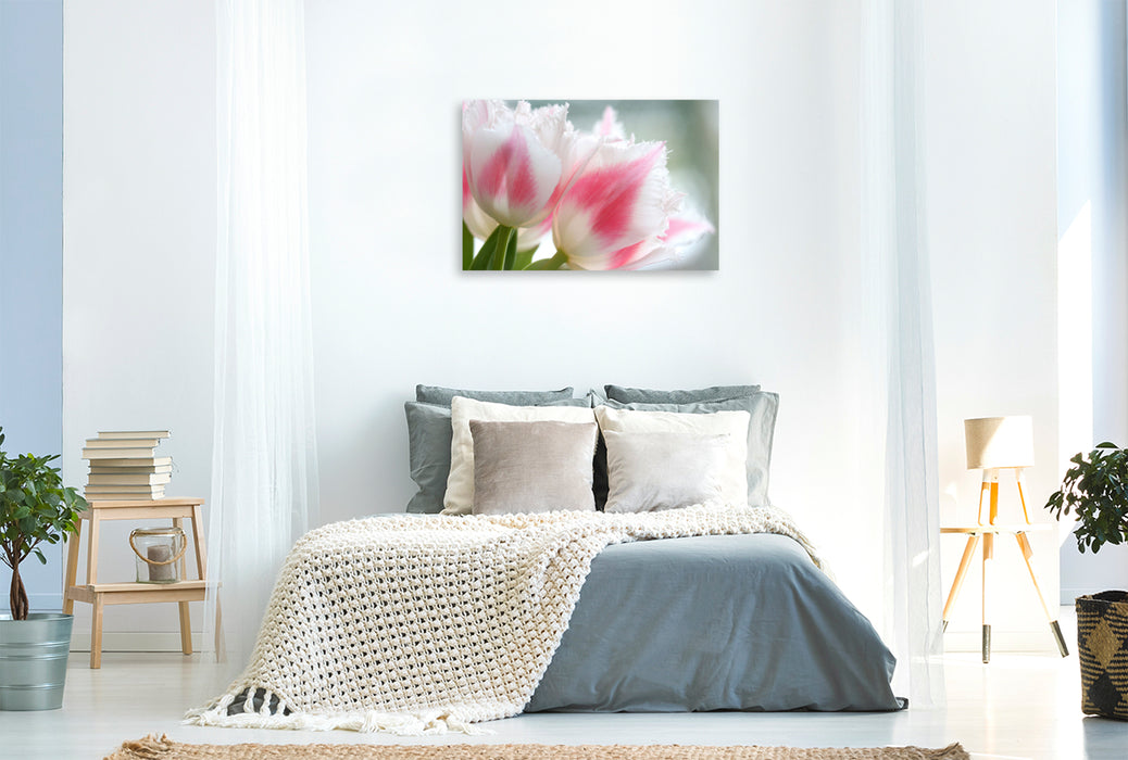 Premium textile canvas fringed tulips or Crispa tulips 