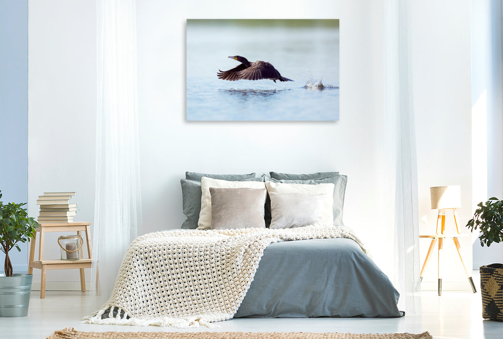 Premium textile canvas cormorant 