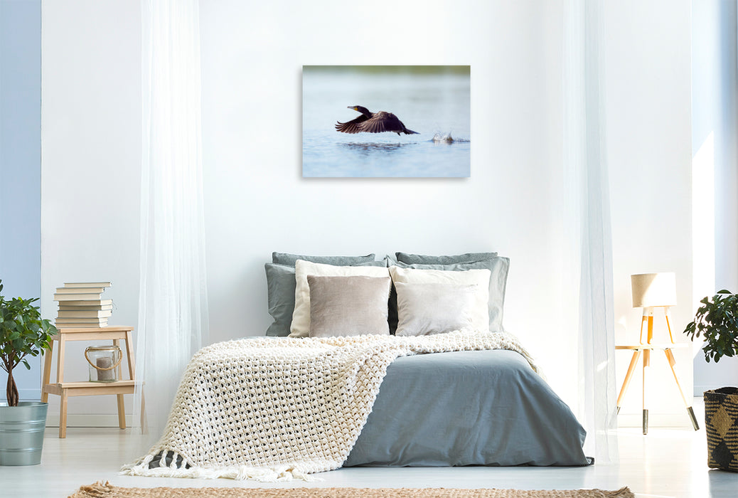 Premium textile canvas cormorant 