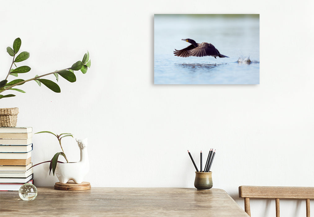 Premium textile canvas cormorant 