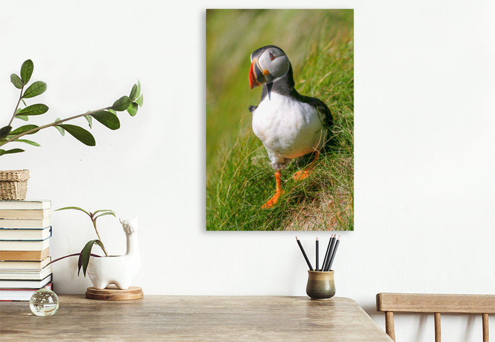 Premium textile canvas puffin 