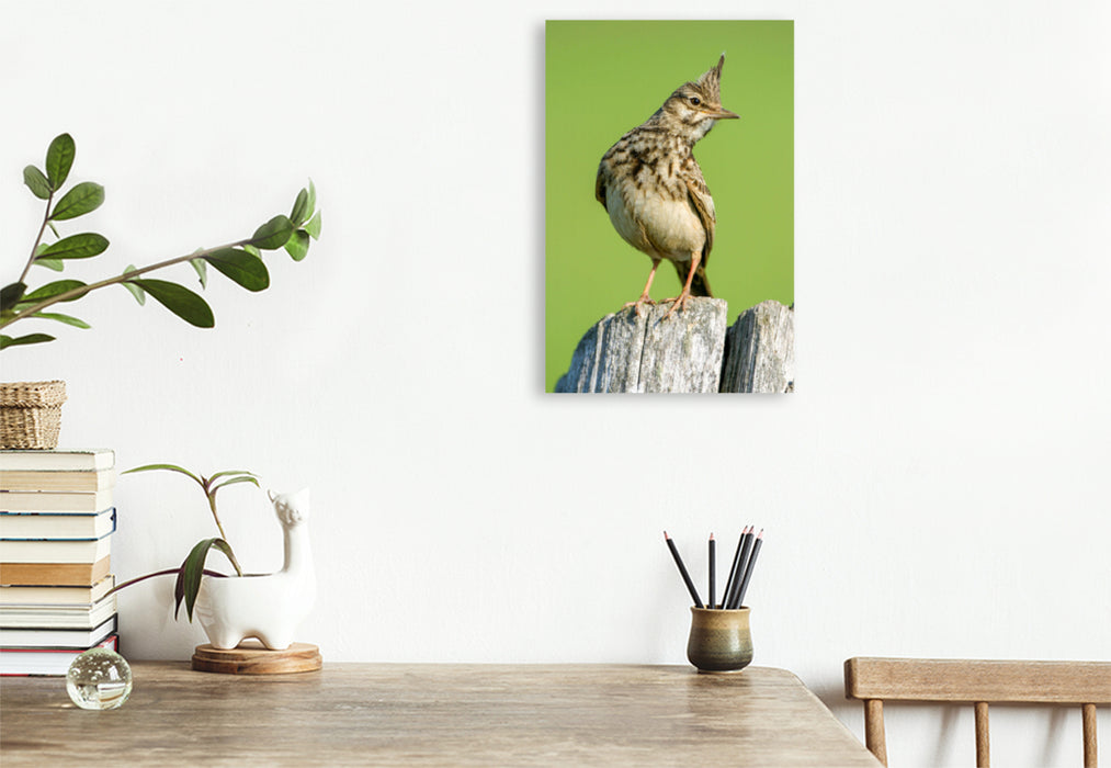 Premium textile canvas Crested Lark 