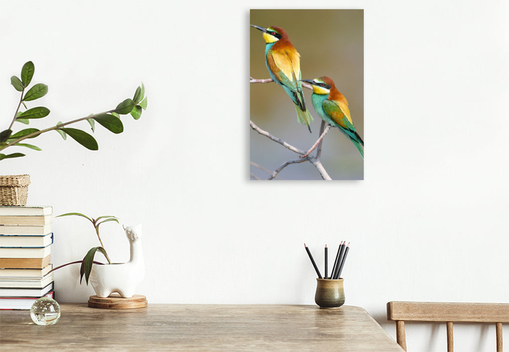 Premium textile canvas European bee-eater 