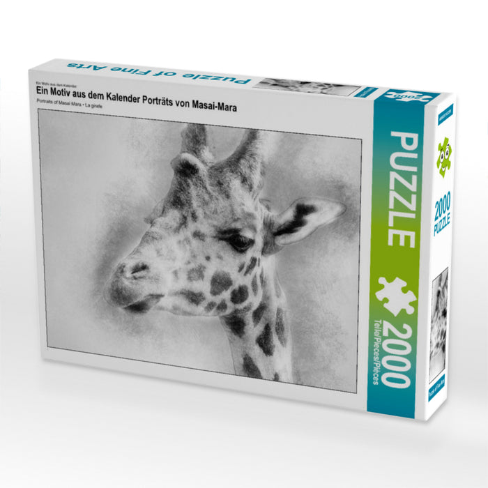 Ein Motiv aus dem Kalender Porträts von Masai-Mara 2000 Teile Puzzle quer - CALVENDO Foto-Puzzle'