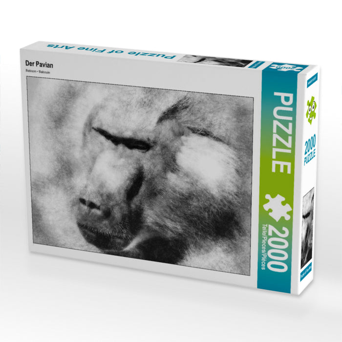 Der Pavian 2000 Teile Puzzle quer - CALVENDO Foto-Puzzle'
