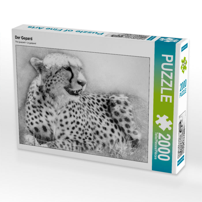 Der Gepard 2000 Teile Puzzle quer - CALVENDO Foto-Puzzle'
