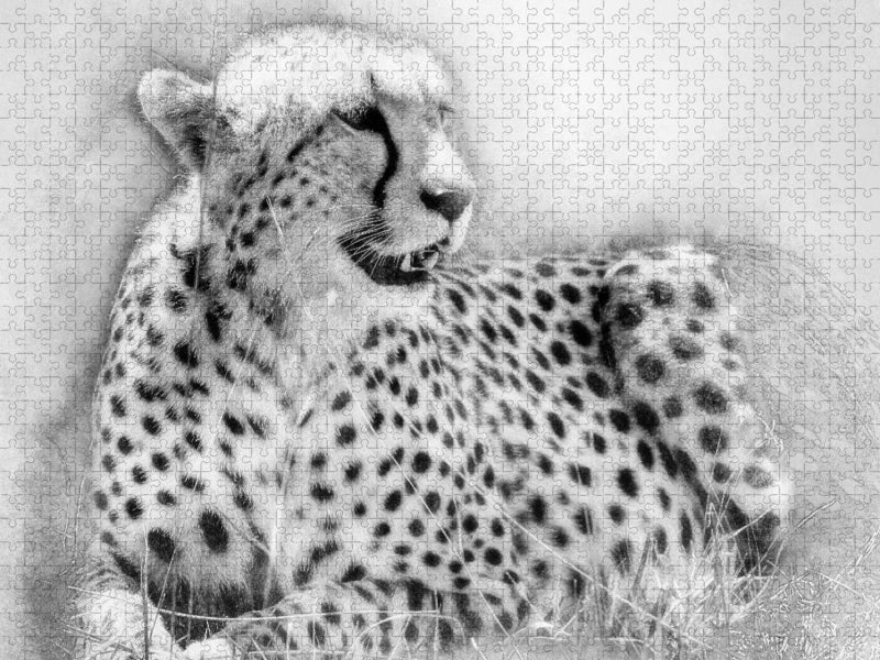 Der Gepard 2000 Teile Puzzle quer - CALVENDO Foto-Puzzle'