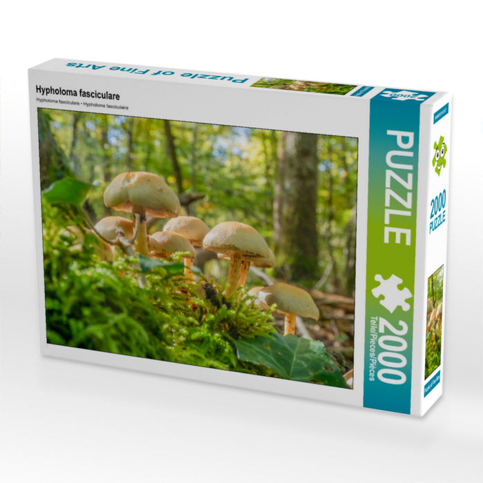 Hypholoma fasciculare 2000 Teile Puzzle quer - CALVENDO Foto-Puzzle'