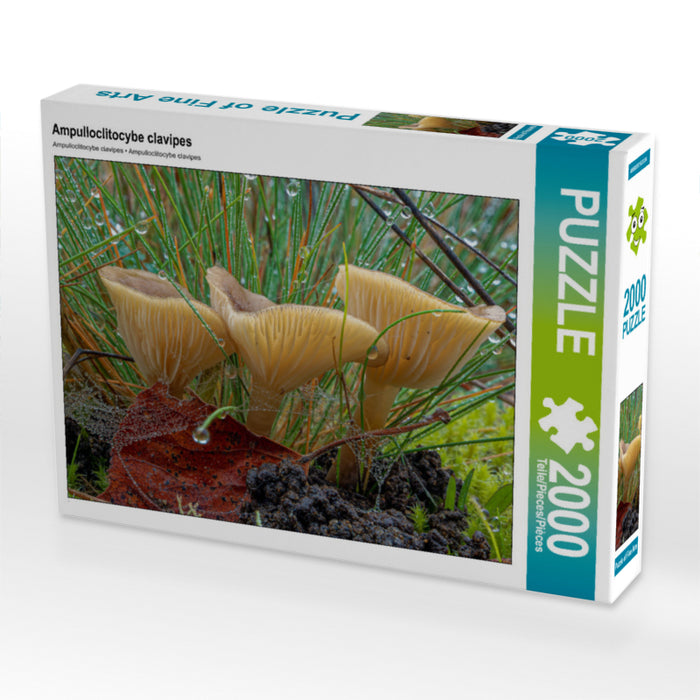 Ampulloclitocybe clavipes 2000 Teile Puzzle quer - CALVENDO Foto-Puzzle'