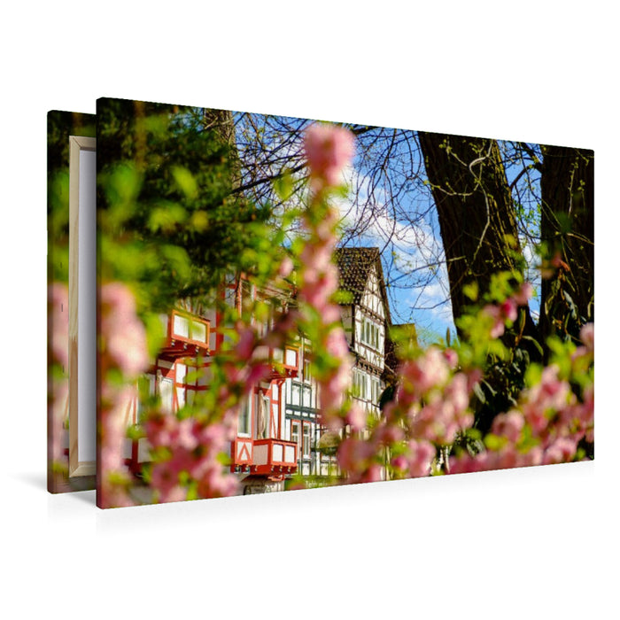 Premium Textil-Leinwand Bad Sooden, Weinreihe