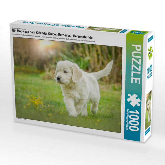 Ein Motiv aus dem Kalender Golden Retriever... Herzenshunde - CALVENDO Foto-Puzzle'