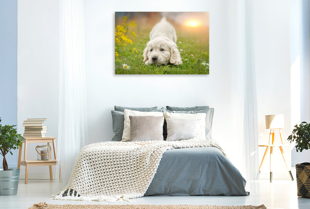 Premium Textil-Leinwand Ein Motiv aus dem Kalender Golden Retriever... Herzenshunde