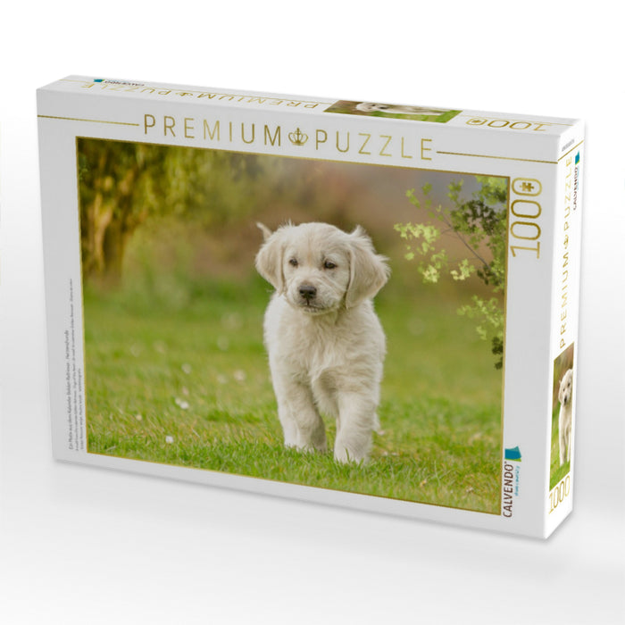 Ein Motiv aus dem Kalender Golden Retriever... Herzenshunde - CALVENDO Foto-Puzzle'