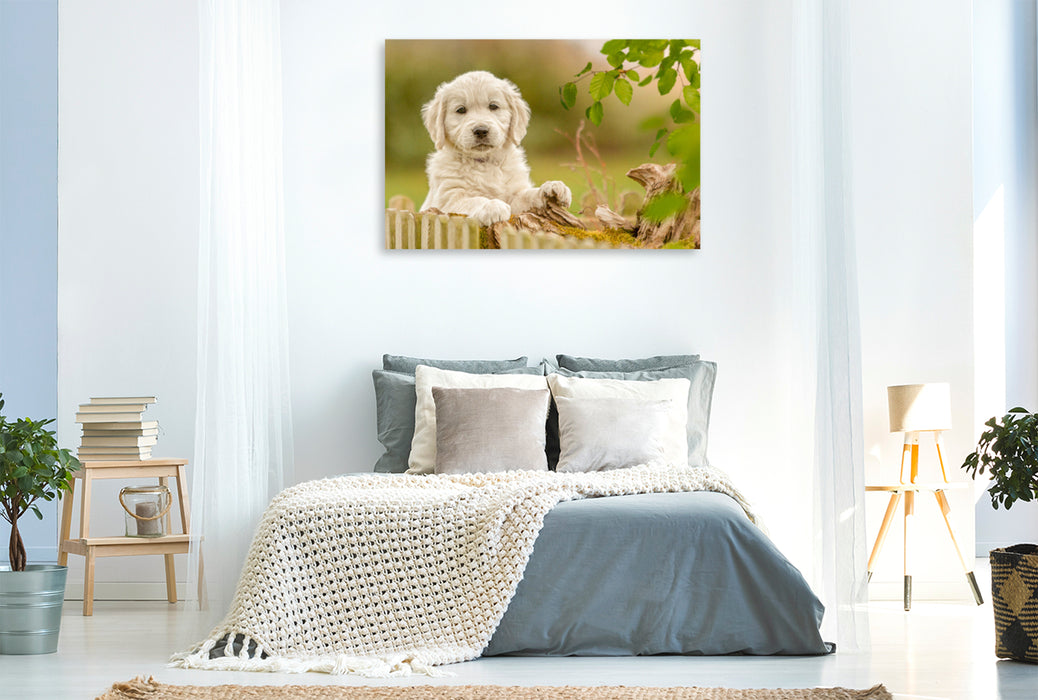 Premium Textil-Leinwand Ein Motiv aus dem Kalender Golden Retriever... Herzenshunde