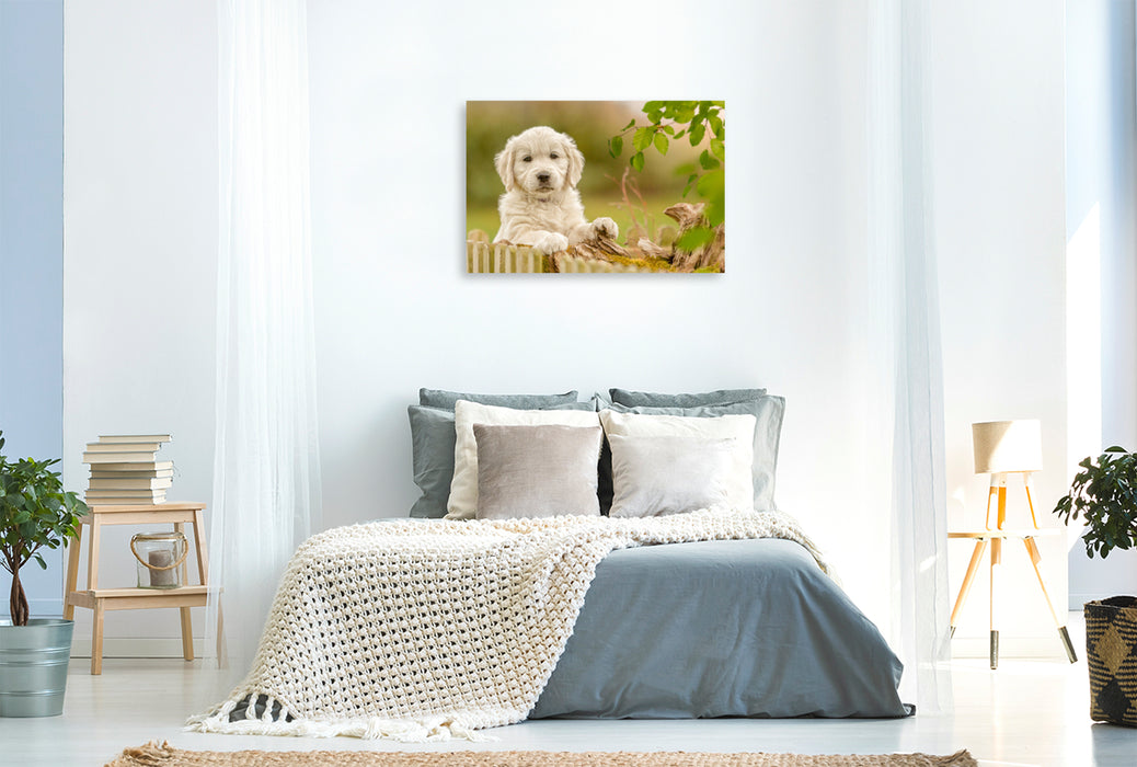 Premium Textil-Leinwand Ein Motiv aus dem Kalender Golden Retriever... Herzenshunde