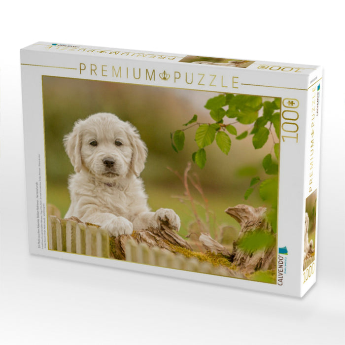 Ein Motiv aus dem Kalender Golden Retriever... Herzenshunde - CALVENDO Foto-Puzzle'