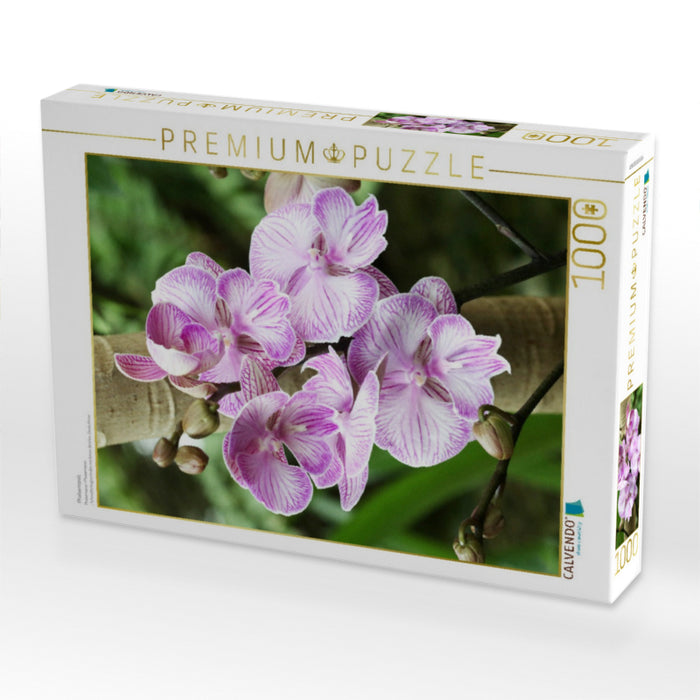 Phalaenopsis - CALVENDO Foto-Puzzle'