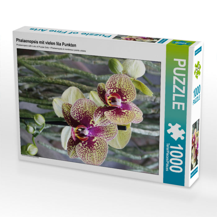Phalaenopsis - Puzzle photo CALVENDO' 
