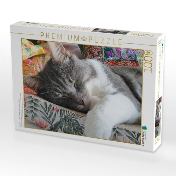 Ein Motiv aus dem Kalender Häng einfach mal ab - CALVENDO Foto-Puzzle'