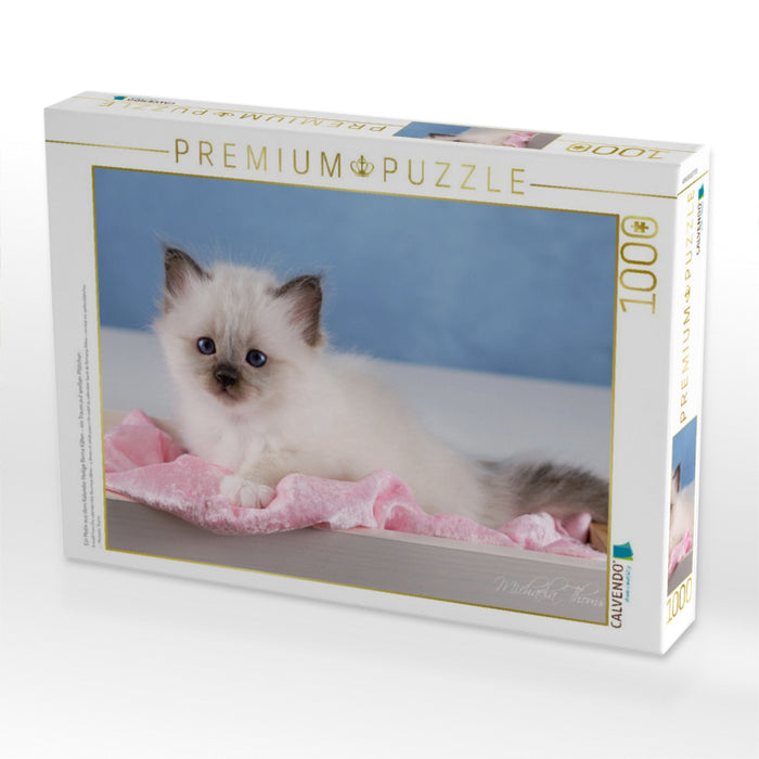 Ein Motiv aus dem Kalender Heilige Birma Kitten - ein Traum auf weißen Pfötchen - CALVENDO Foto-Puzzle'