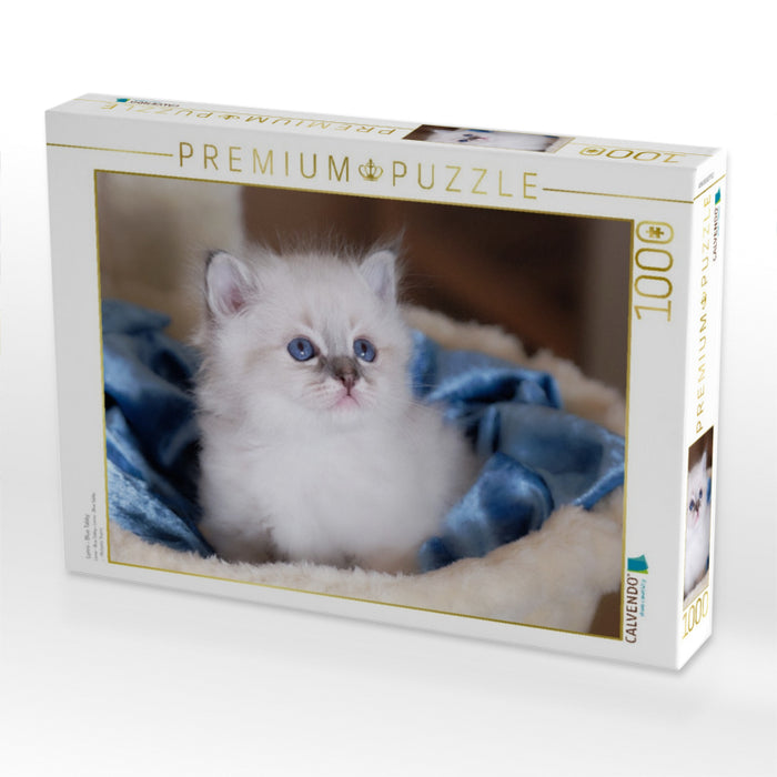 Lenni - Blue Tabby - CALVENDO Foto-Puzzle'