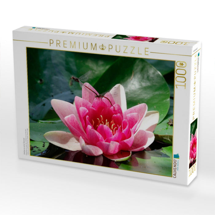 Libellen an einer Seerose - CALVENDO Foto-Puzzle'