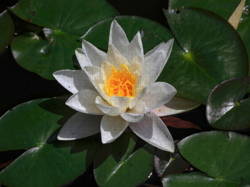 Malerisch - CALVENDO Foto-Puzzle'