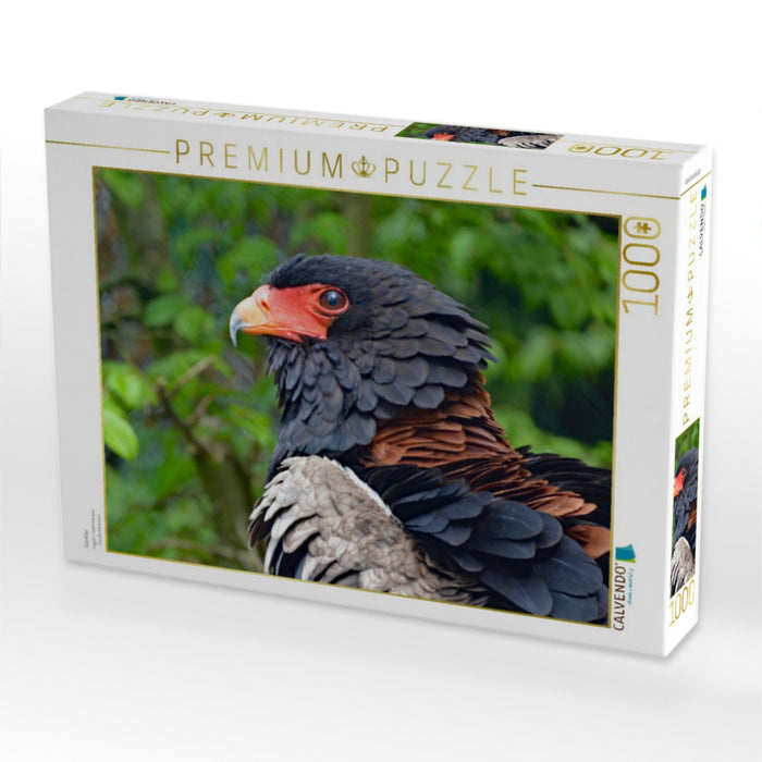Gaukler - CALVENDO Foto-Puzzle'