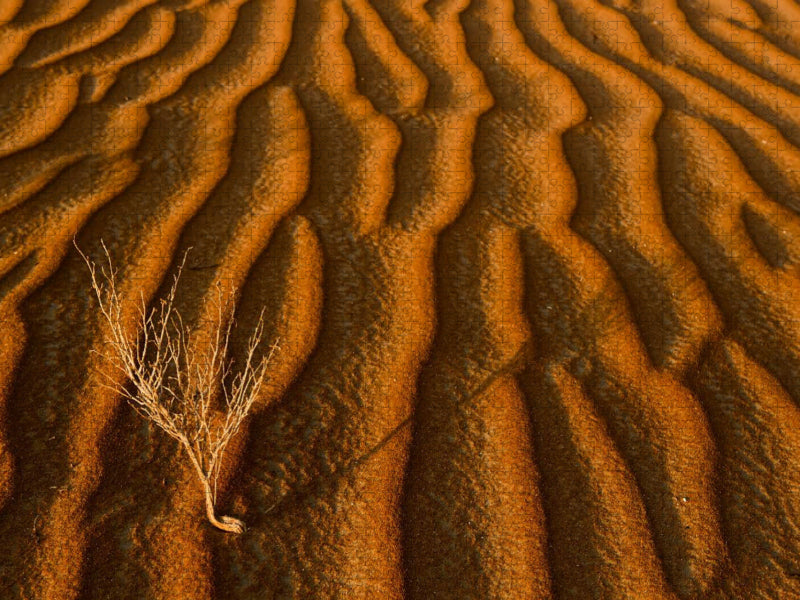 Wüste Rub al Khali - CALVENDO Foto-Puzzle'