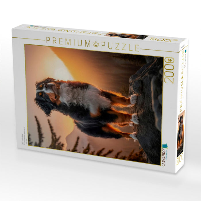 Blick in die Ferne - CALVENDO Foto-Puzzle'