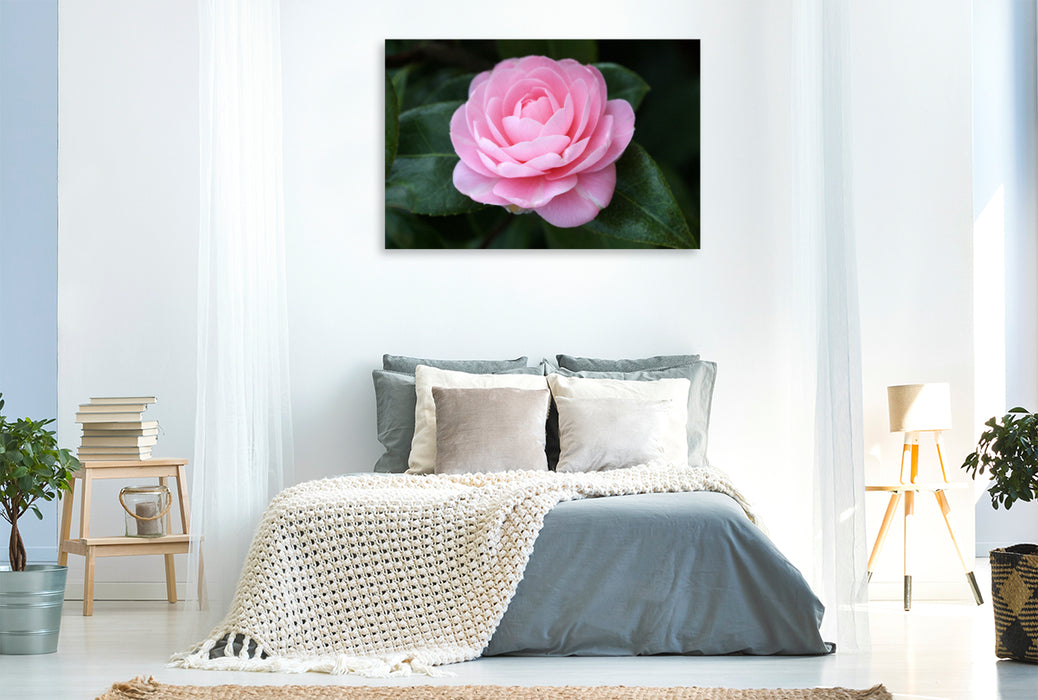 Premium textile canvas EG Waterhouse 