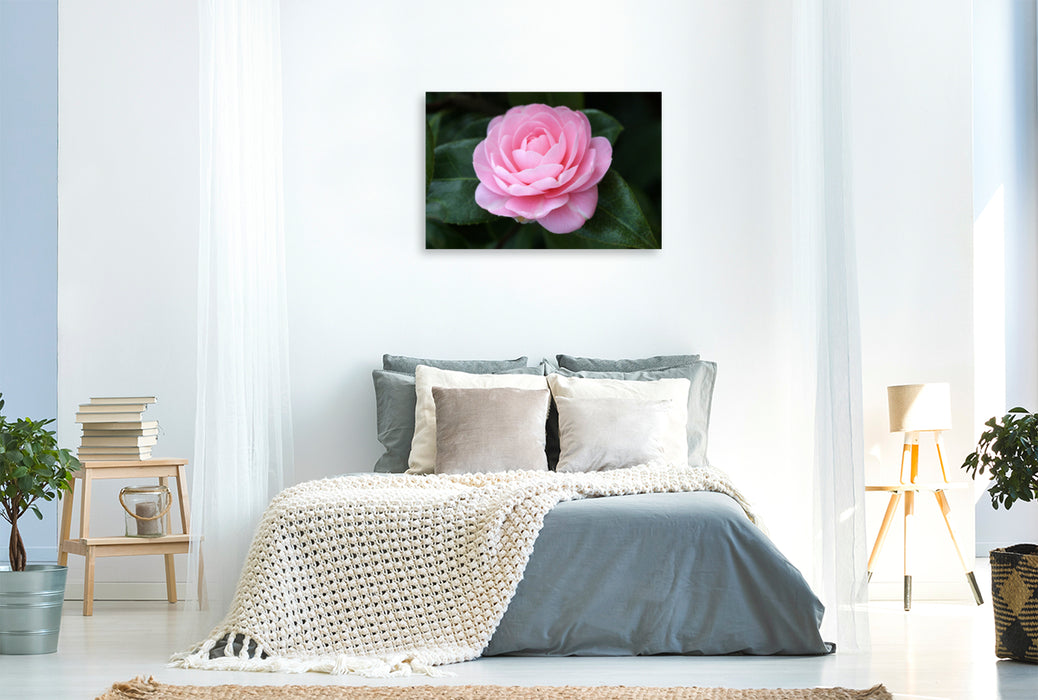 Premium textile canvas EG Waterhouse 