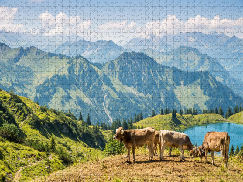 Rinder am Nebelhorn - CALVENDO Foto-Puzzle'