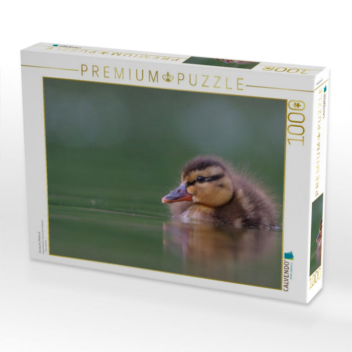 Stockente (Mallard) - CALVENDO Foto-Puzzle'
