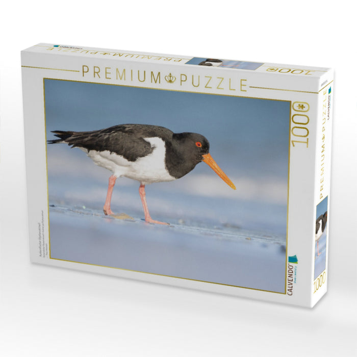 Austernfischer (Oystercatcher) - CALVENDO Foto-Puzzle'