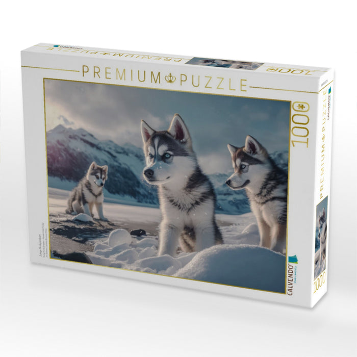 Junge Huskywelpen - CALVENDO Foto-Puzzle'