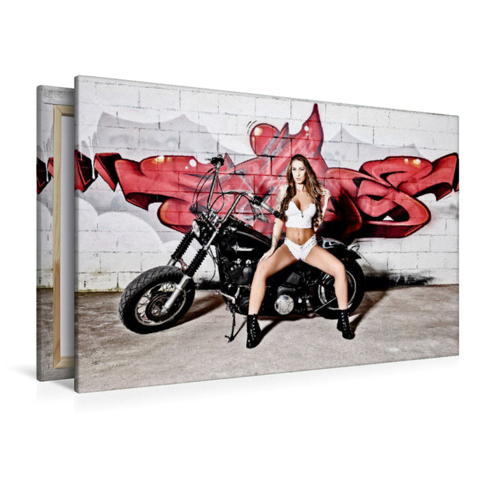 Premium Textil-Leinwand Evo Softail FXST Night Train mit Lia_Juwel_Official