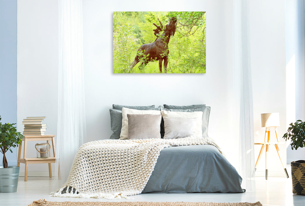 Premium textile canvas moose in the middle of fresh, green tree shoots 