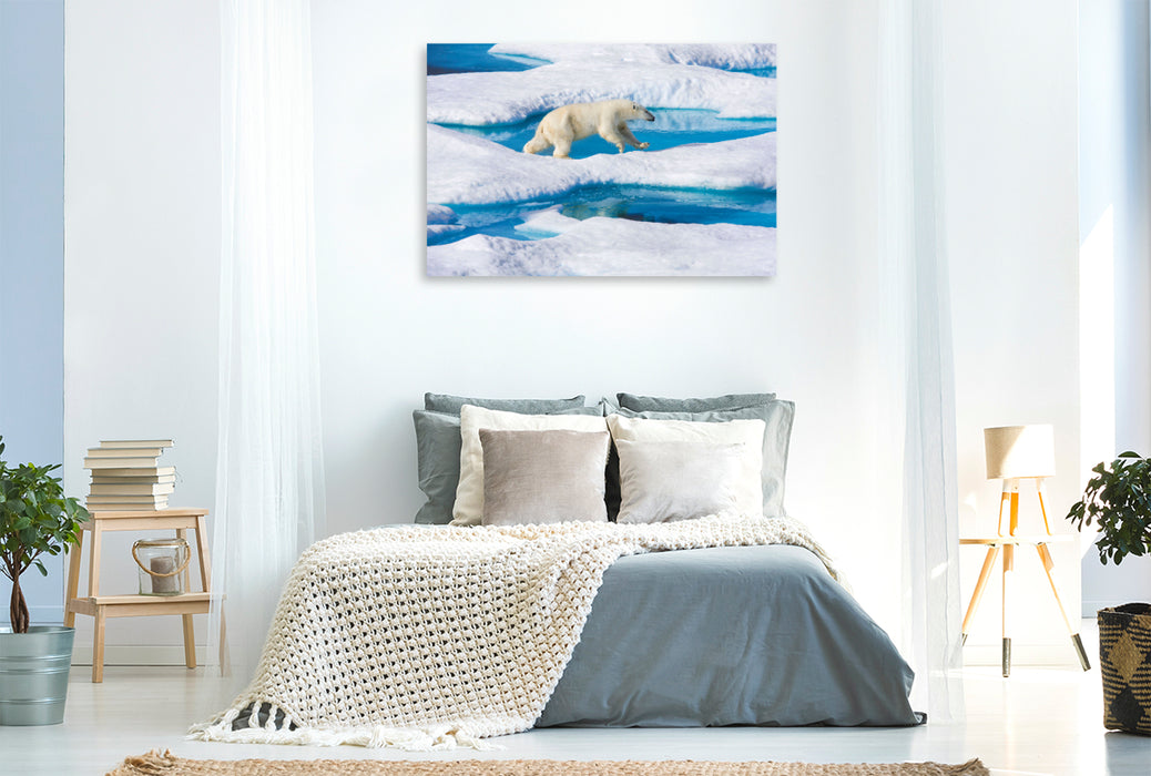 Premium textile canvas Young polar bear jumps from ice floe to ice floe 