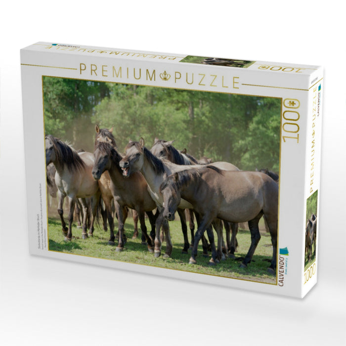 Stutenherde im Merfelder Bruch - CALVENDO Foto-Puzzle'