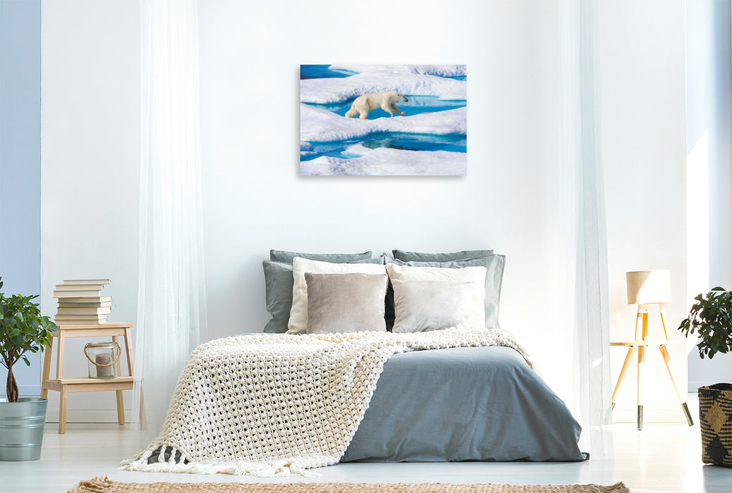 Premium textile canvas Young polar bear jumps from ice floe to ice floe 