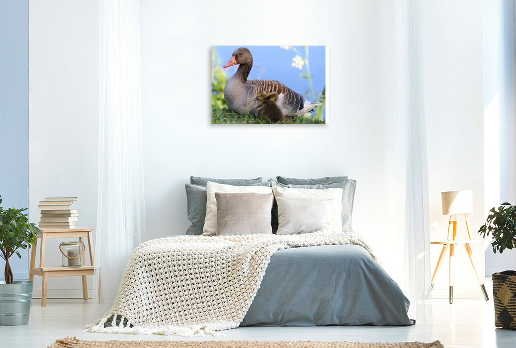 Premium textile canvas Mama Gray Goose has very soft and warm feathers for cuddling. You can sleep well here. 