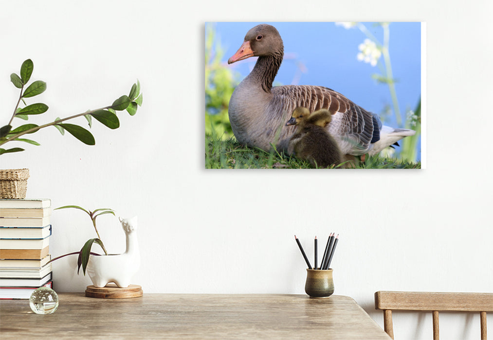 Premium textile canvas Mama Gray Goose has very soft and warm feathers for cuddling. You can sleep well here. 