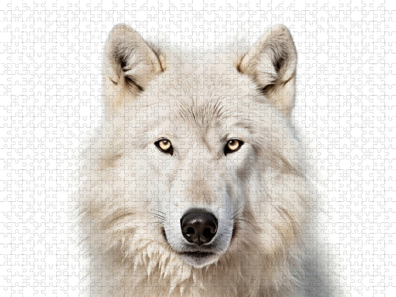 Ein Motiv aus dem Kalender "Only white animals" - CALVENDO Foto-Puzzle'