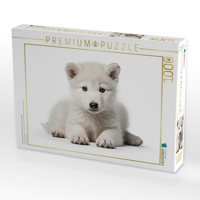 Ein Motiv aus dem Kalender "Only white animals" - CALVENDO Foto-Puzzle'