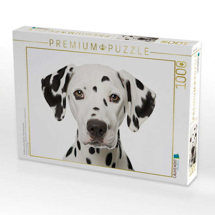 Ein Motiv aus dem Kalender "Only white animals" - CALVENDO Foto-Puzzle'